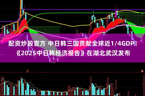 配资炒股官方 中日韩三国贡献全球近1/4GDP！《2025中日韩经济报告》在湖北武汉发布